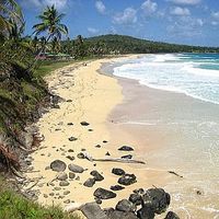 Leo Sanchez Prado的照片