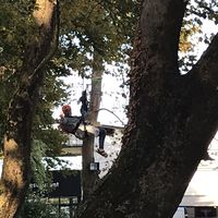 Fotos von Nada Rashid