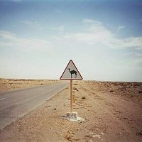 Tilelli Sahores's Photo