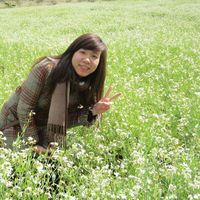 sweet potato's Photo