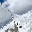 SACH PASS from Delhi's picture