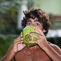 Vitor Castelo Branco's Photo