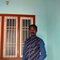 BraveHeart Gee-gee的照片