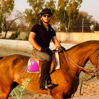 Walid  Haider的照片