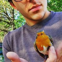 Corrado Esposito的照片