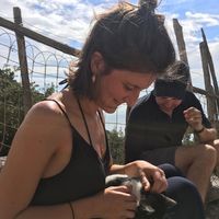 Chiron Floris的照片