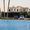 Mohamed Osama's Photo