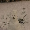 Playing snow, Sledging, Making Snowman ⛄🌨️❄️  's picture