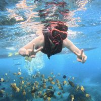 Muhammed Akverdi's Photo