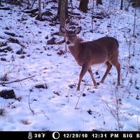 Steele Skrenta's Photo