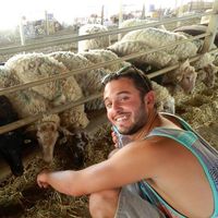 Chen Krasny的照片