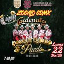 Los Cardenales De Nuevo León 's picture