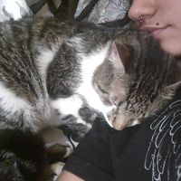 Amanda Araujo's Photo