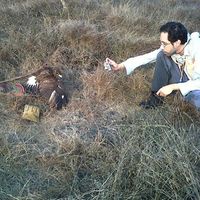 Leonel Herrera Alsina的照片