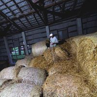 Karel Kranich's Photo