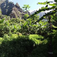 Renae Panton's Photo