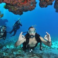 Fernando Fachini's Photo