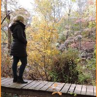 Patricia Wolff的照片