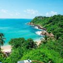 Road Trip To Puerto Escondido 's picture