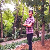 Milad Moradi's Photo