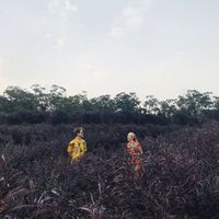 Sam Williams's Photo