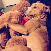 Randi Weathers的照片