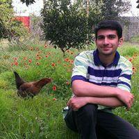 Ali A. Amiri的照片