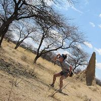 Photos de Sarah Gibney