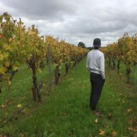 Sakthivel Nathan的照片