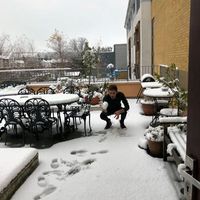 Zdjęcia użytkownika Rodrigo Almeida