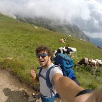 Francesco Guerra的照片