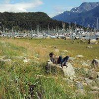 Crystal Rain的照片