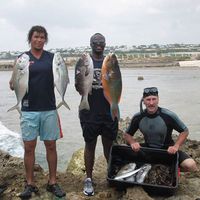 Alex Atwine的照片