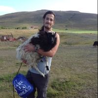 Stephen Johnson's Photo