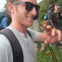 Or Moscovitz's Photo