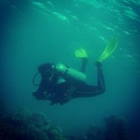 Mostafa Abdo King's Photo