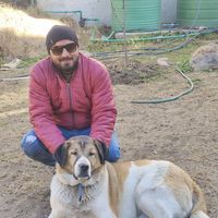 Shashi Malnad's Photo