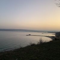 Nevena Strashimirova的照片