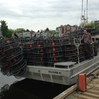 James Vukic的照片