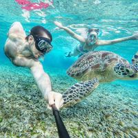 Zdjęcia użytkownika Dave Ikin