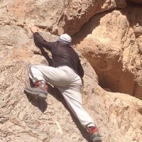 Sam BackPack的照片