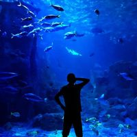 Mehdi Motovaselan's Photo