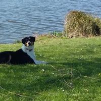 Emeline coffinet's Photo