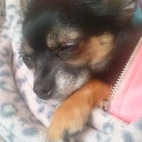 Katie O'Brien's Photo