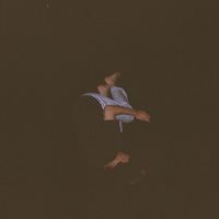 Amine Al-Attar的照片