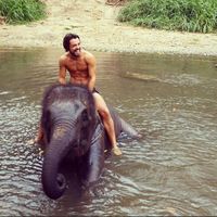 Marco Marzotto的照片