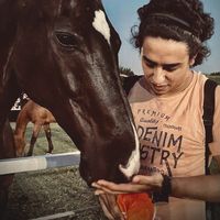 Mohamed Mekawi的照片