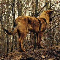 Heather Thomas's Photo