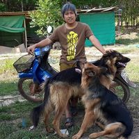 Waraphan Prasertsukniti's Photo