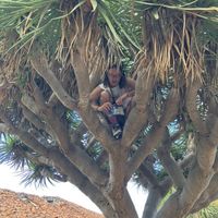 Photos de David Pavli